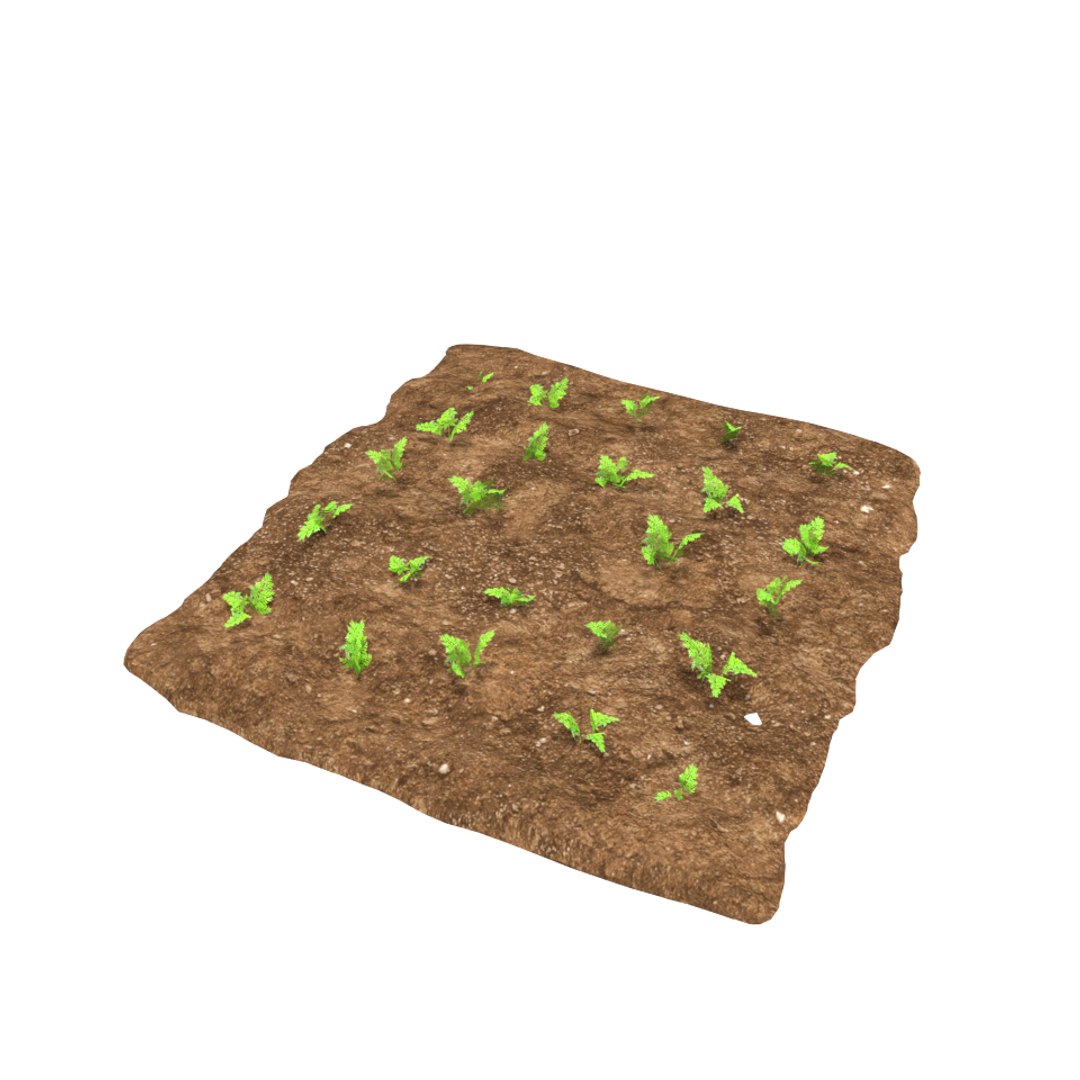 carrots 3 growth stages 3D model https://p.turbosquid.com/ts-thumb/oR/lIg8Rx/gCHhjgrJ/23/png/1491580915/1920x1080/fit_q87/da8ba6e676a8483a66649e6dcb350c5a291ff81d/23.jpg