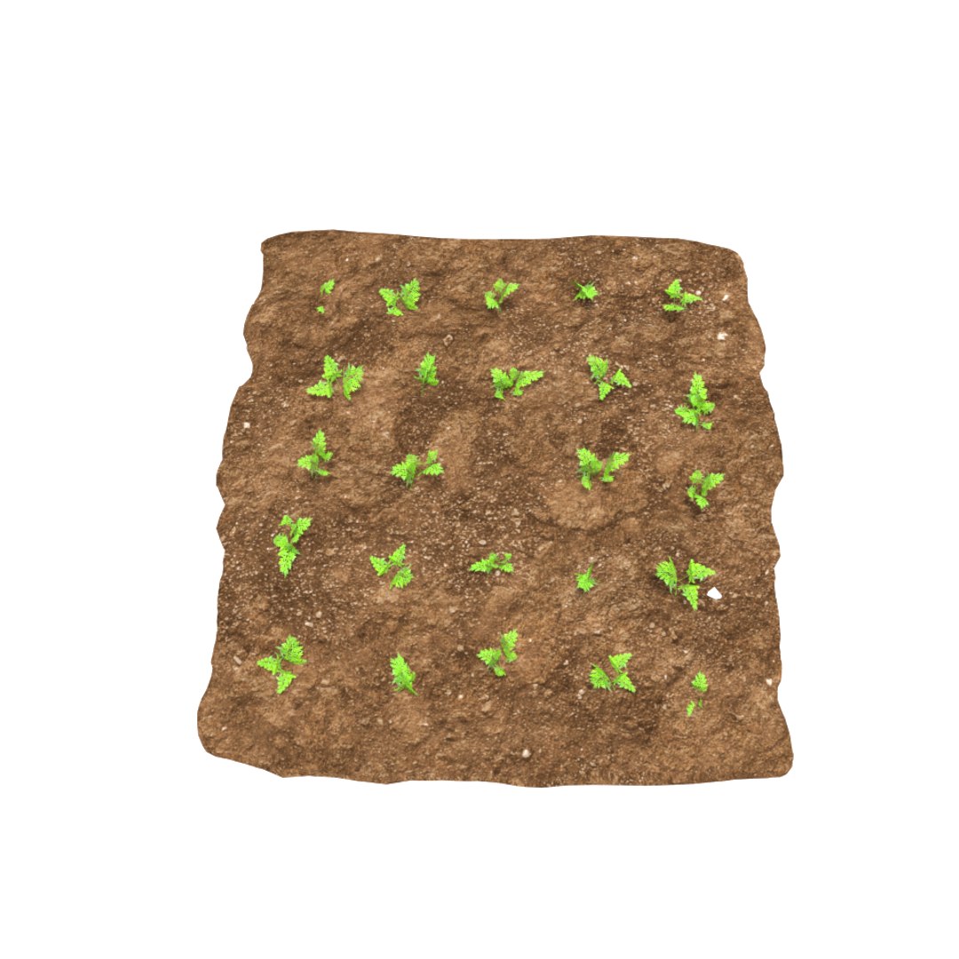 carrots 3 growth stages 3D model https://p.turbosquid.com/ts-thumb/oR/lIg8Rx/rRoF3oPS/22/png/1491580915/1920x1080/fit_q87/6d30890a38c21beaa3d0febf9bd72d96cd6c7296/22.jpg