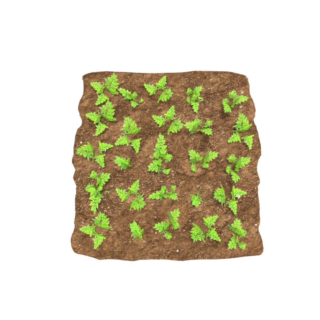carrots 3 growth stages 3D model https://p.turbosquid.com/ts-thumb/oR/lIg8Rx/vGcRNIrs/12/png/1491580915/1920x1080/fit_q87/b07701beaf92ffaa5b0ef3b3220c1f21bc5be036/12.jpg