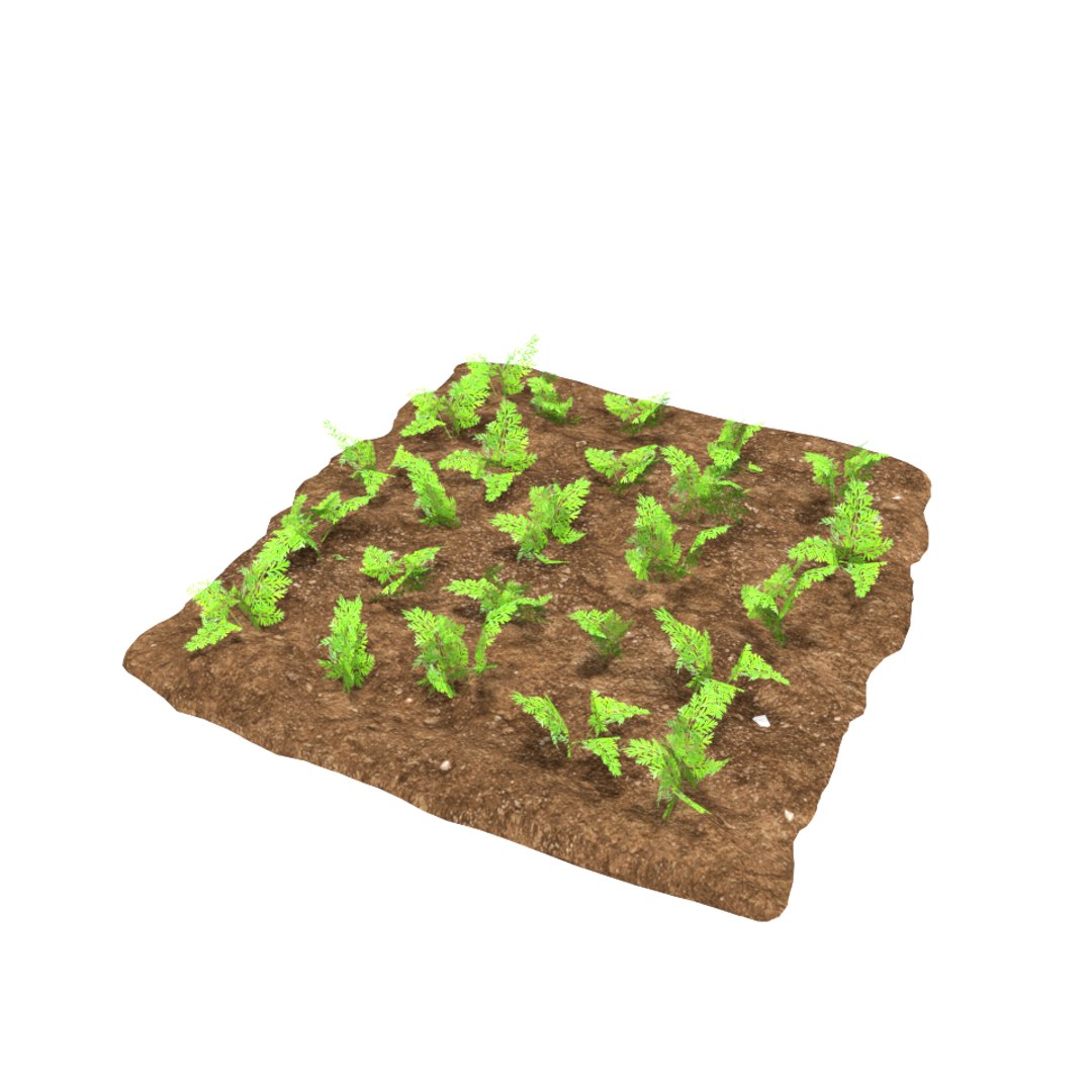 carrots 3 growth stages 3D model https://p.turbosquid.com/ts-thumb/oR/lIg8Rx/wwrw0CD1/13/png/1491580915/1920x1080/fit_q87/752ec18aa5274e9cae77e55359c7aaadaa151035/13.jpg