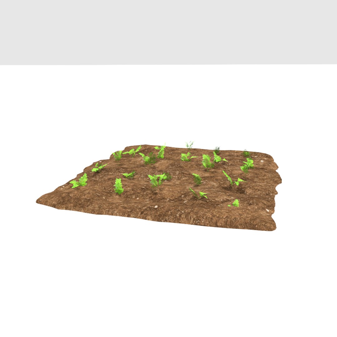 carrots 3 growth stages 3D model https://p.turbosquid.com/ts-thumb/oR/lIg8Rx/xkaO0Dc9/21/png/1491580915/1920x1080/fit_q87/40524e1bd8114791c1e55292aeace8314eab0816/21.jpg