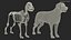 Dog Skeleton Anatomy with Translucent Shell 3D model