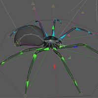 SCARY SPIDER