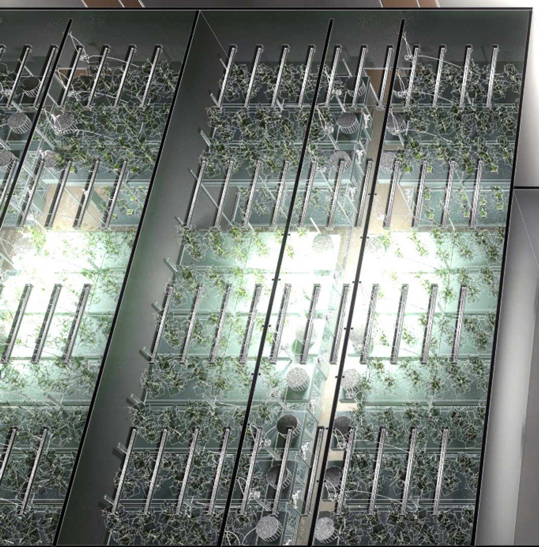 3D cannabis grow room model https://p.turbosquid.com/ts-thumb/oS/8atWh7/l1fWcuxu/growroom2/jpg/1547442976/1920x1080/fit_q87/e2053ba5583fb6867c1b2a60472e5fa9d3025cd2/growroom2.jpg