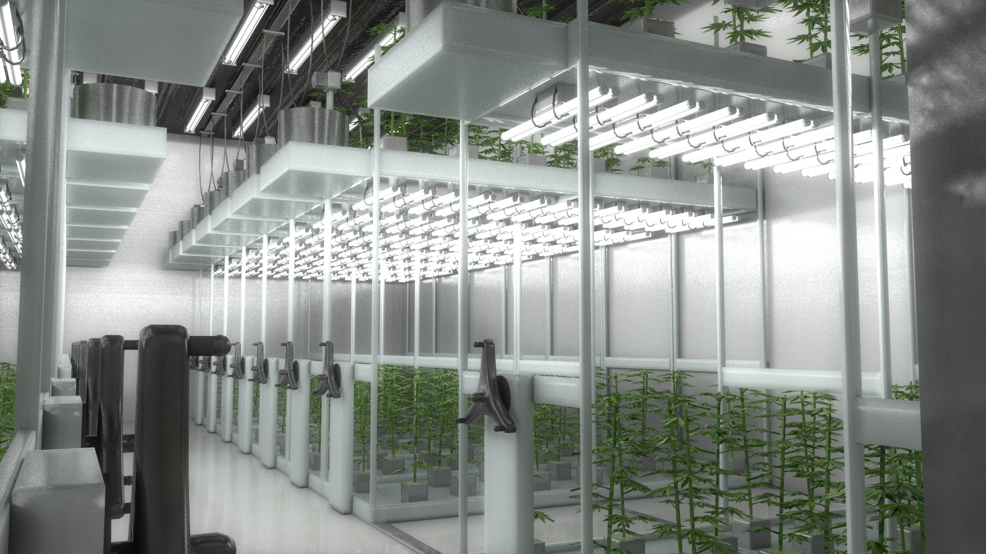 3D cannabis grow room model https://p.turbosquid.com/ts-thumb/oS/8atWh7/zXOiWIFJ/floweringroom/jpg/1547442917/1920x1080/fit_q87/63d1ae0475e84684bc50988ce0b647ee8e30f4d9/floweringroom.jpg