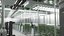 Cannabis Grow Room