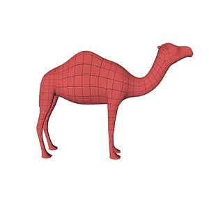 base mesh camel 3d model