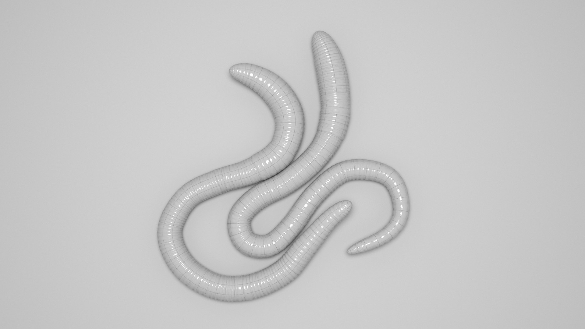 3D Earthworm Model - TurboSquid 1989188