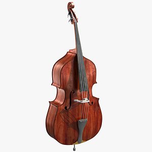 Contrabass