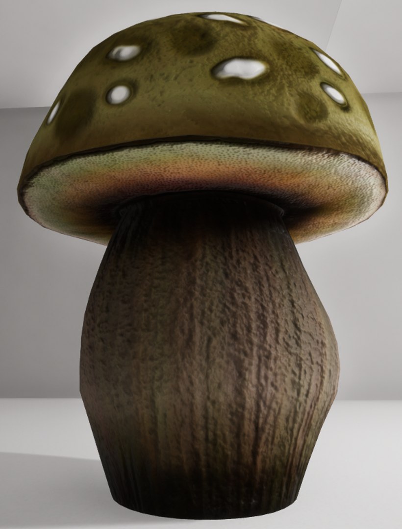 3D mushrooms shrooms https://p.turbosquid.com/ts-thumb/oS/OXB1E6/0ZaICkCh/th5/png/1518123949/1920x1080/fit_q87/c9381c682e85b41cfc15d1951c04628633b34ba9/th5.jpg