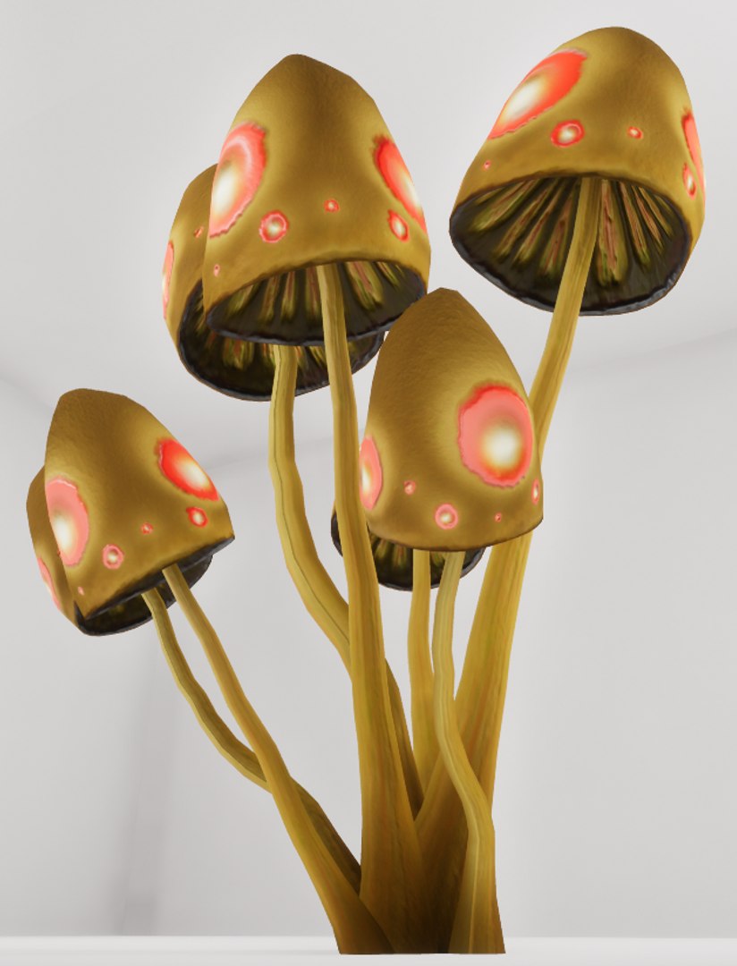 3D mushrooms shrooms https://p.turbosquid.com/ts-thumb/oS/OXB1E6/FlX1ZPGL/th3/png/1518123929/1920x1080/fit_q87/8bbe53c8f737d5c40d26fd247a3c7ccce65293a2/th3.jpg