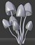 Pilze