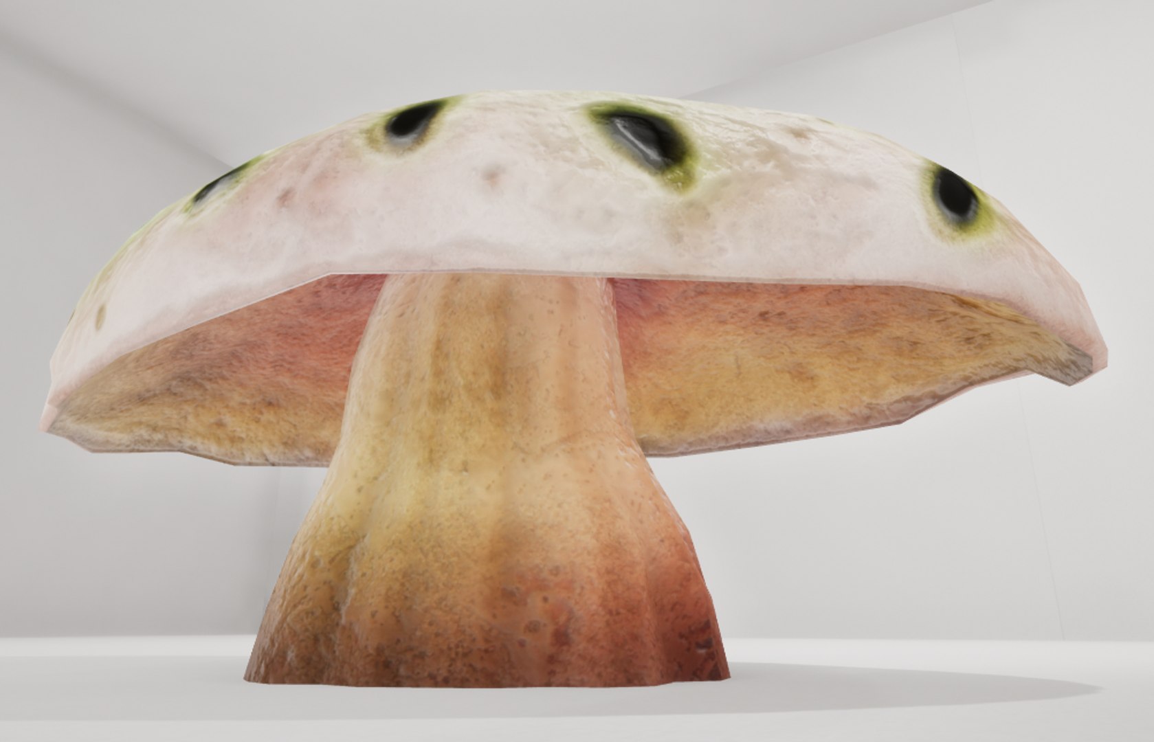 3D mushrooms shrooms https://p.turbosquid.com/ts-thumb/oS/OXB1E6/UBcYnrls/th4/png/1518123937/1920x1080/fit_q87/0bd782fc9627cd2addcc795cd76f80f4c64ac198/th4.jpg