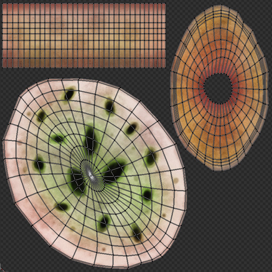 3D mushrooms shrooms https://p.turbosquid.com/ts-thumb/oS/OXB1E6/Uv21wwfq/th11/png/1518123937/1920x1080/fit_q87/aba450216d14d6df54ef10a61e1b1e1af68a0b43/th11.jpg