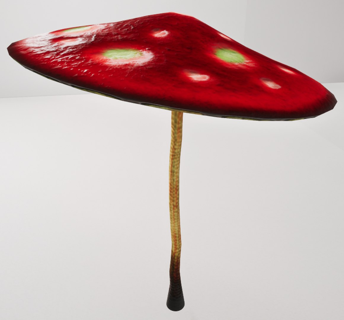 3D mushrooms shrooms https://p.turbosquid.com/ts-thumb/oS/OXB1E6/XJ5OqlSq/th3/png/1518123944/1920x1080/fit_q87/97bf4668fd467cad0b2e8718dcc65b56df35e6c2/th3.jpg