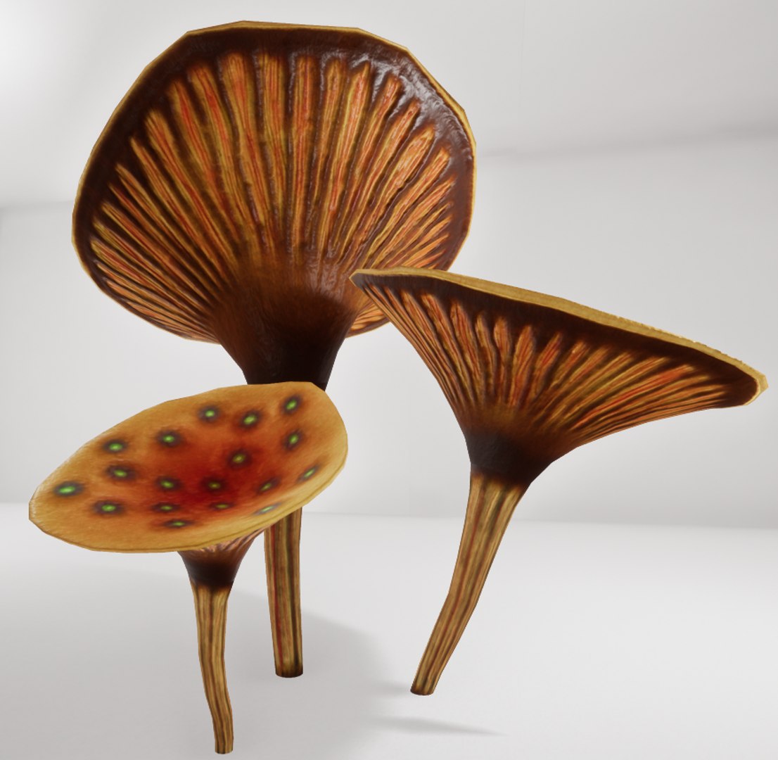 3D mushrooms shrooms https://p.turbosquid.com/ts-thumb/oS/OXB1E6/dnkCvBLv/th1/png/1518123955/1920x1080/fit_q87/06ccc4fa65103dc5fc0040afa5ef20c3b0da3340/th1.jpg