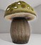 Pilze