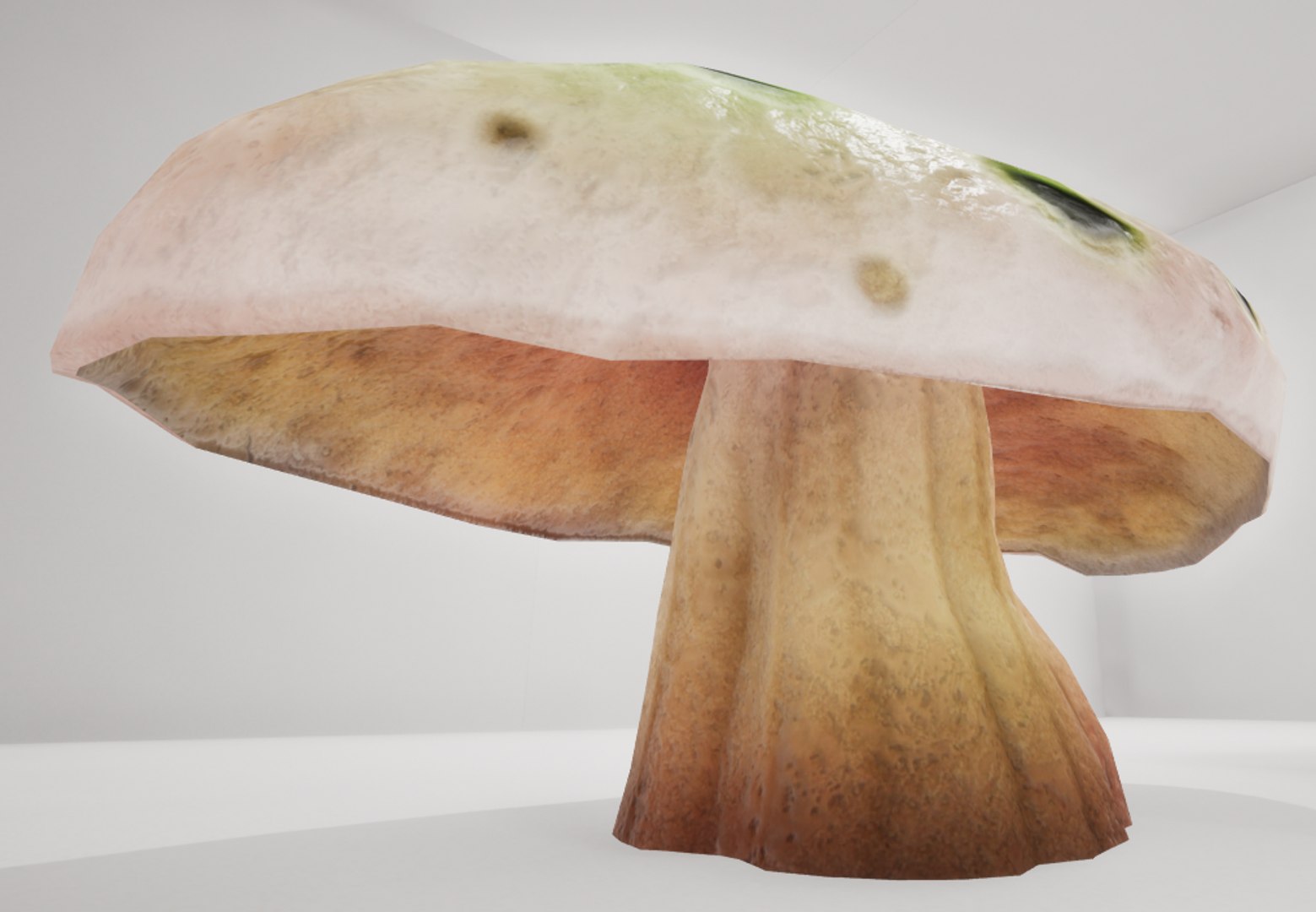 3D mushrooms shrooms https://p.turbosquid.com/ts-thumb/oS/OXB1E6/gmhzUJI1/th6/png/1518123937/1920x1080/fit_q87/bc590f15f24ade69db95da8eec84237d77f3696e/th6.jpg