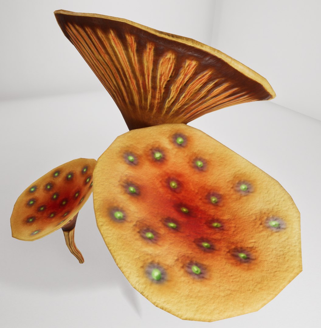 3D mushrooms shrooms https://p.turbosquid.com/ts-thumb/oS/OXB1E6/kDIzjJhE/th4/png/1518123955/1920x1080/fit_q87/75b102b2d46c70f45234131024ca92dfb6f1e763/th4.jpg