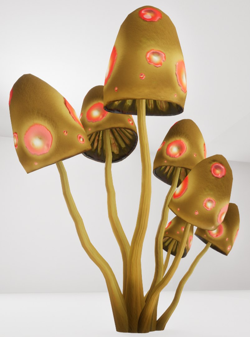 3D mushrooms shrooms https://p.turbosquid.com/ts-thumb/oS/OXB1E6/nxM4AE4K/th2/png/1518123929/1920x1080/fit_q87/d8673b7bd605e19c29042ef504e208a2a8bbe5ad/th2.jpg