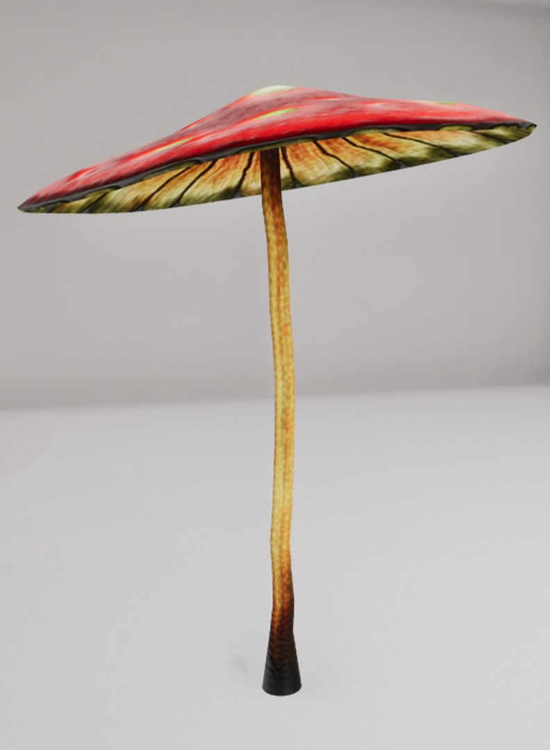 3D mushrooms shrooms https://p.turbosquid.com/ts-thumb/oS/OXB1E6/nzU0kCr9/th1/png/1518123943/1920x1080/fit_q87/7c597deced42a5672f89db90ded791a0a6a6a0ac/th1.jpg