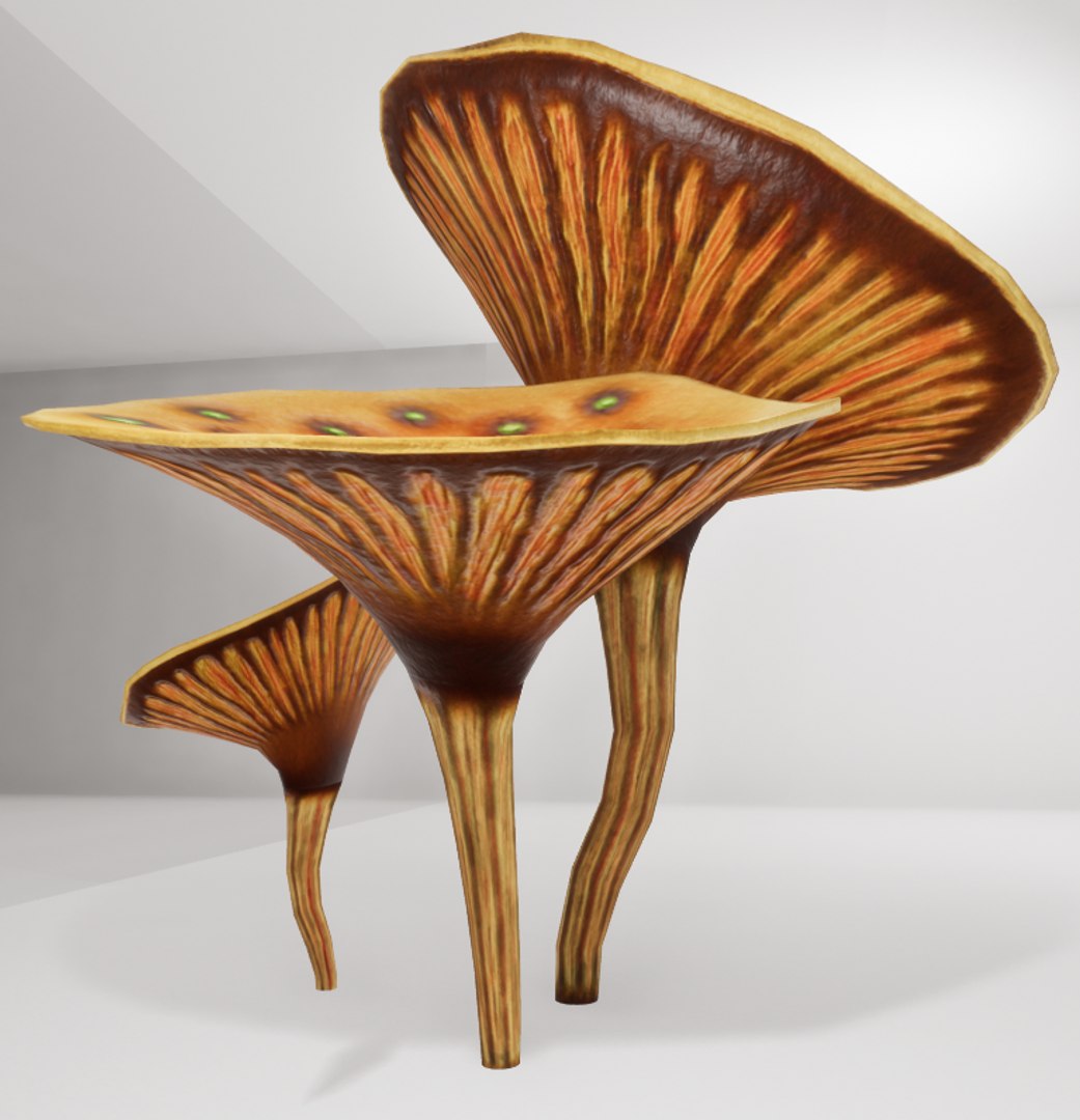 3D mushrooms shrooms https://p.turbosquid.com/ts-thumb/oS/OXB1E6/qF4p1cTI/th2/png/1518123955/1920x1080/fit_q87/2e1c9872d9f7db966c1d120ee3f7534c5ae48fe8/th2.jpg