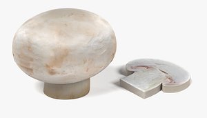 Champignon