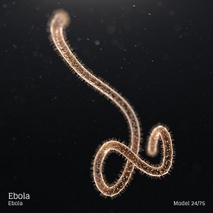 microbes bacteria cells 3D