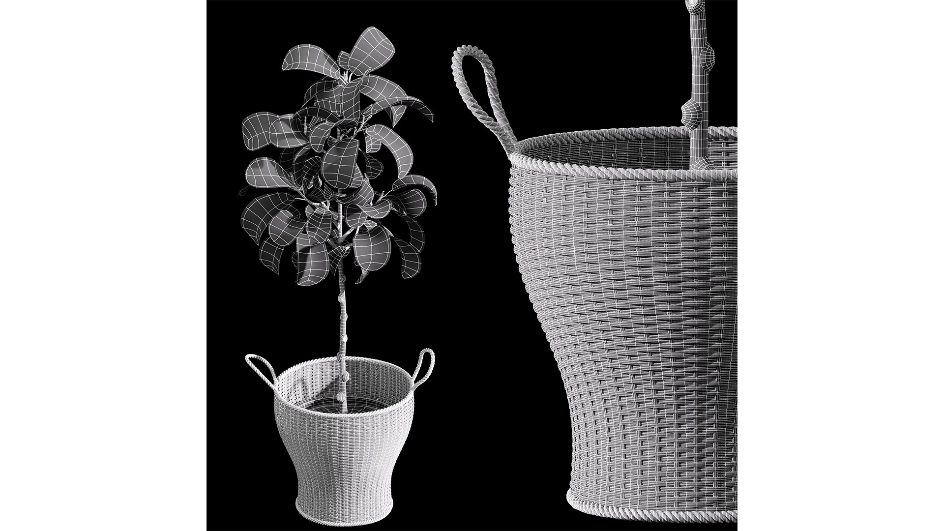 3D Plant Indoor Set Fiddle Leaf Fig model https://p.turbosquid.com/ts-thumb/oT/4JBLdu/AC/z06/png/1720962262/1920x1080/fit_q87/6e354569d533fb50d45c6f957c7d6dd738db13fc/z06.jpg