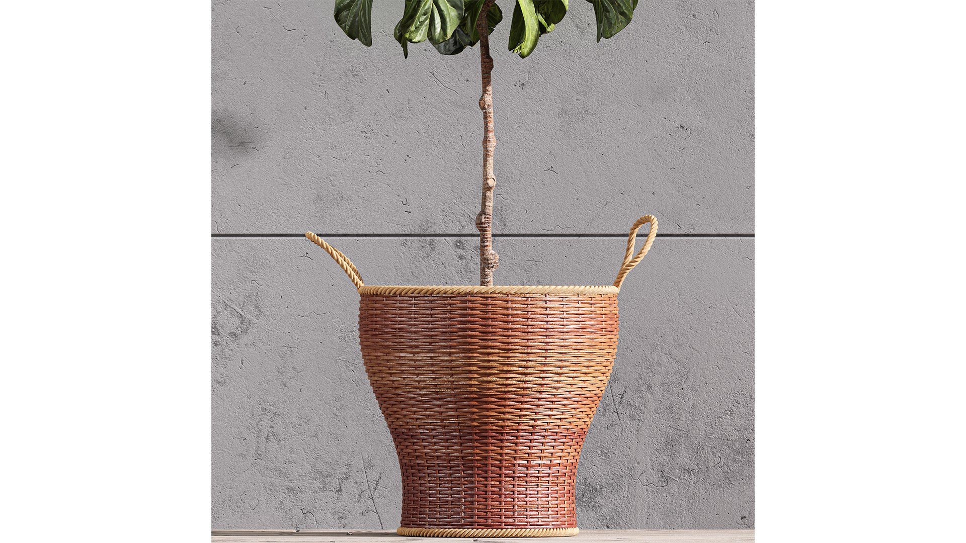 3D Plant Indoor Set Fiddle Leaf Fig model https://p.turbosquid.com/ts-thumb/oT/4JBLdu/PN/z03/png/1720962257/1920x1080/fit_q87/9a6b3c4b779fcb7a32bcb634fe52262f69256fc5/z03.jpg