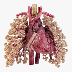 Heart Animated With Sound