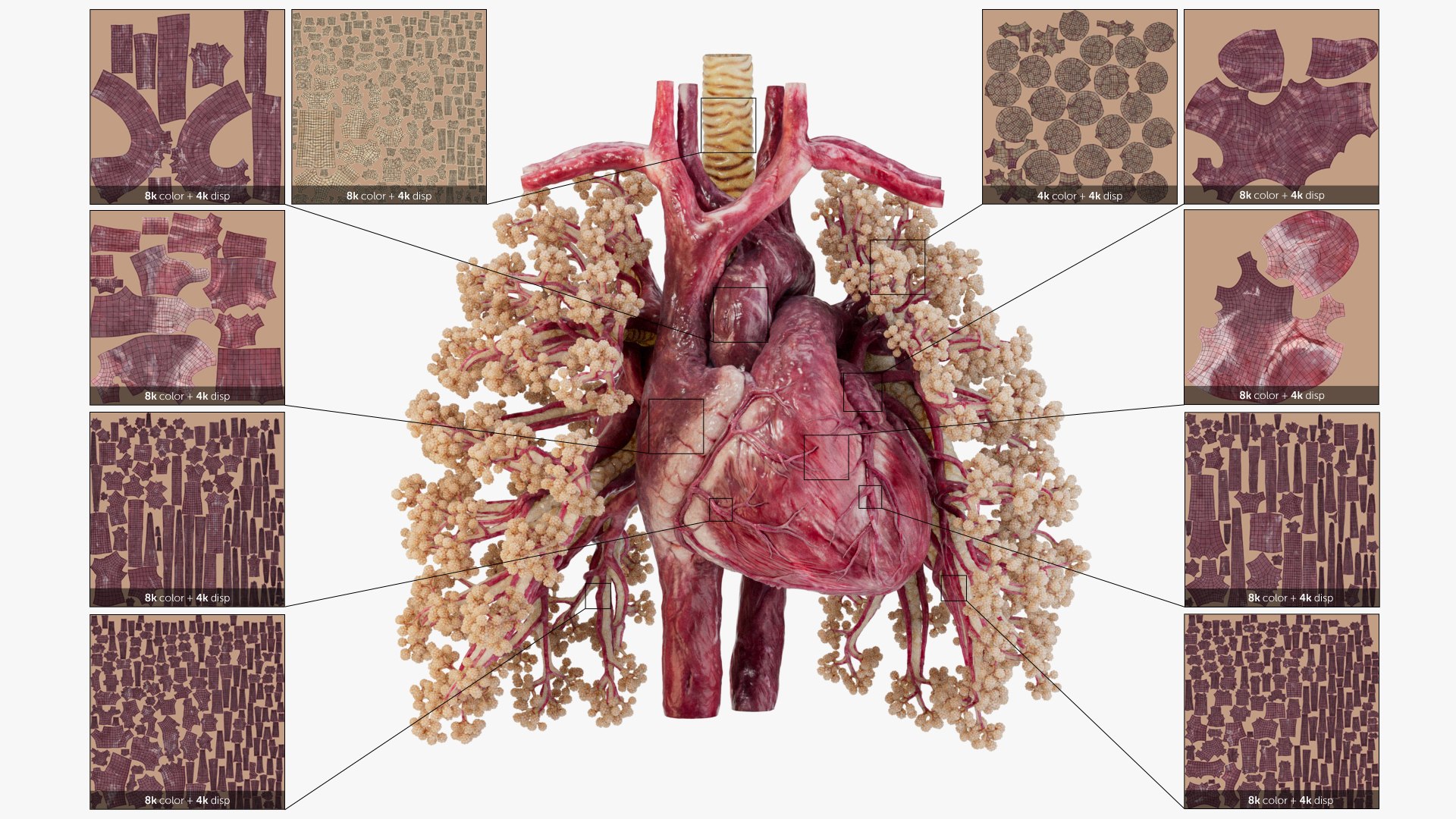 3D Animated Heart with Sound https://p.turbosquid.com/ts-thumb/oT/4QOeH0/j4/textures/jpg/1686257259/1920x1080/fit_q87/0b0a8601a6e9b440d2433d4a149a3dabbd8b20a0/textures.jpg