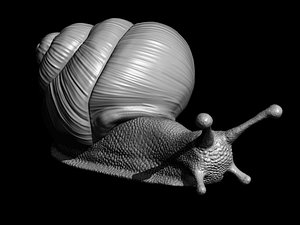 3D snail printable print