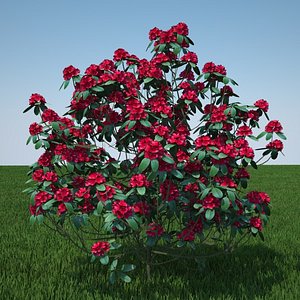c4d plant flowers
