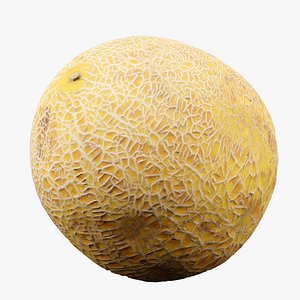 Honeydew Melon 3D model
