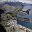 Transavia Airtruk