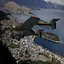 Transavia Airtruk