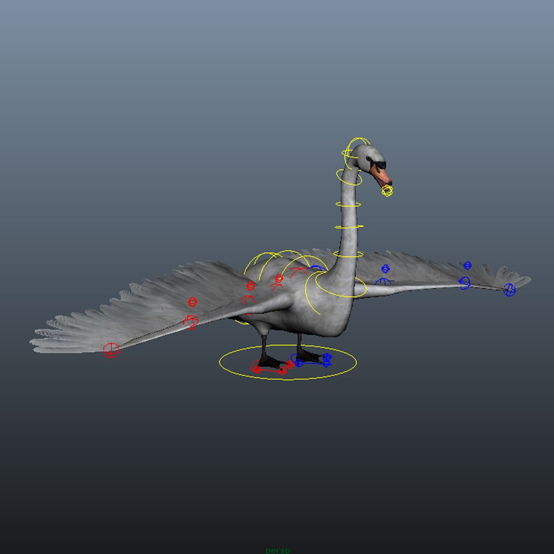 Obj Swan Rigged