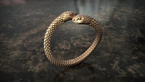 3D ring snake