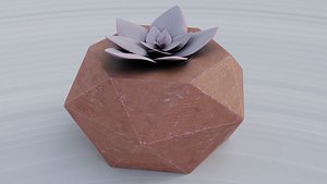 succulent 3D