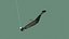 Ripple Shad