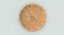 Wooden Dishware Plate