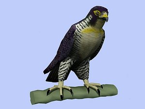 Peregrine Falcon Low Poly 3D Model
