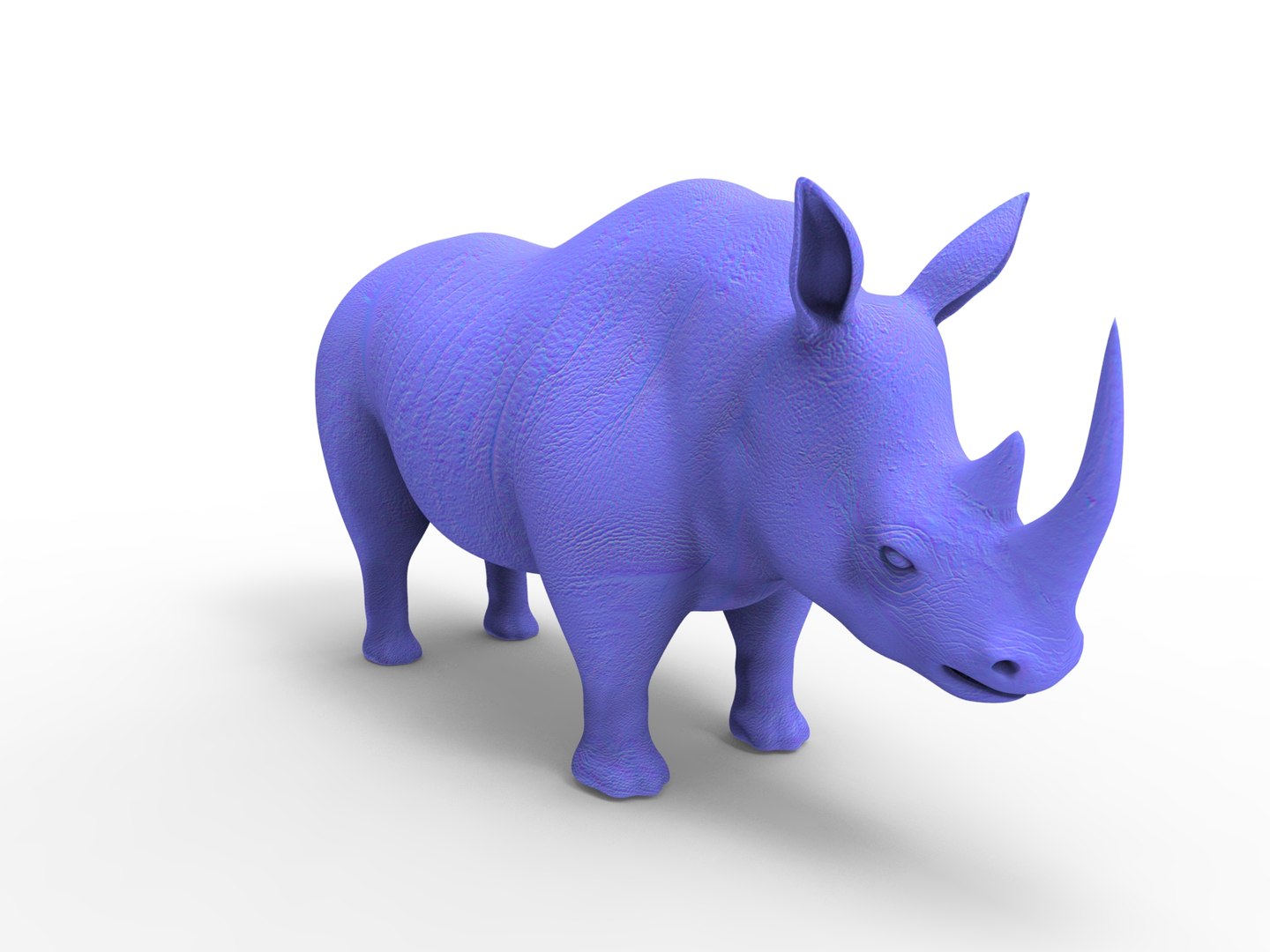 Realistic Rhino Rigged 3D Model - TurboSquid 1266061