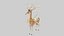 Mammal divine deer mount
