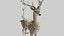 Mammal divine deer mount