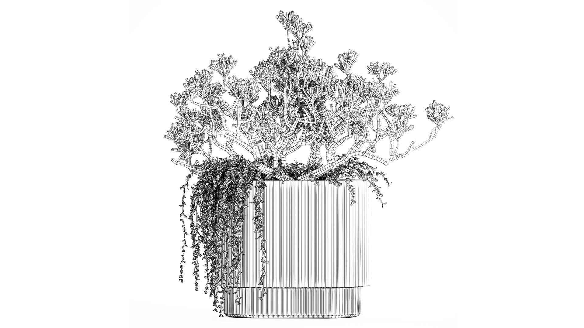 3D Bouquet Realistic Succulent Flowers Modern Vase 616 https://p.turbosquid.com/ts-thumb/oU/cJ1H4Y/3W/1bouquet120909/jpg/1758021542/1920x1080/fit_q87/61aa05001514419d2e720400e68f19f4104aca8f/1bouquet120909.jpg