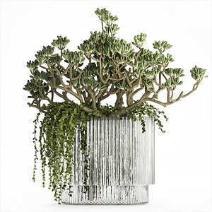 Bouquet Realistic Succulent Flowers Modern Vase 616