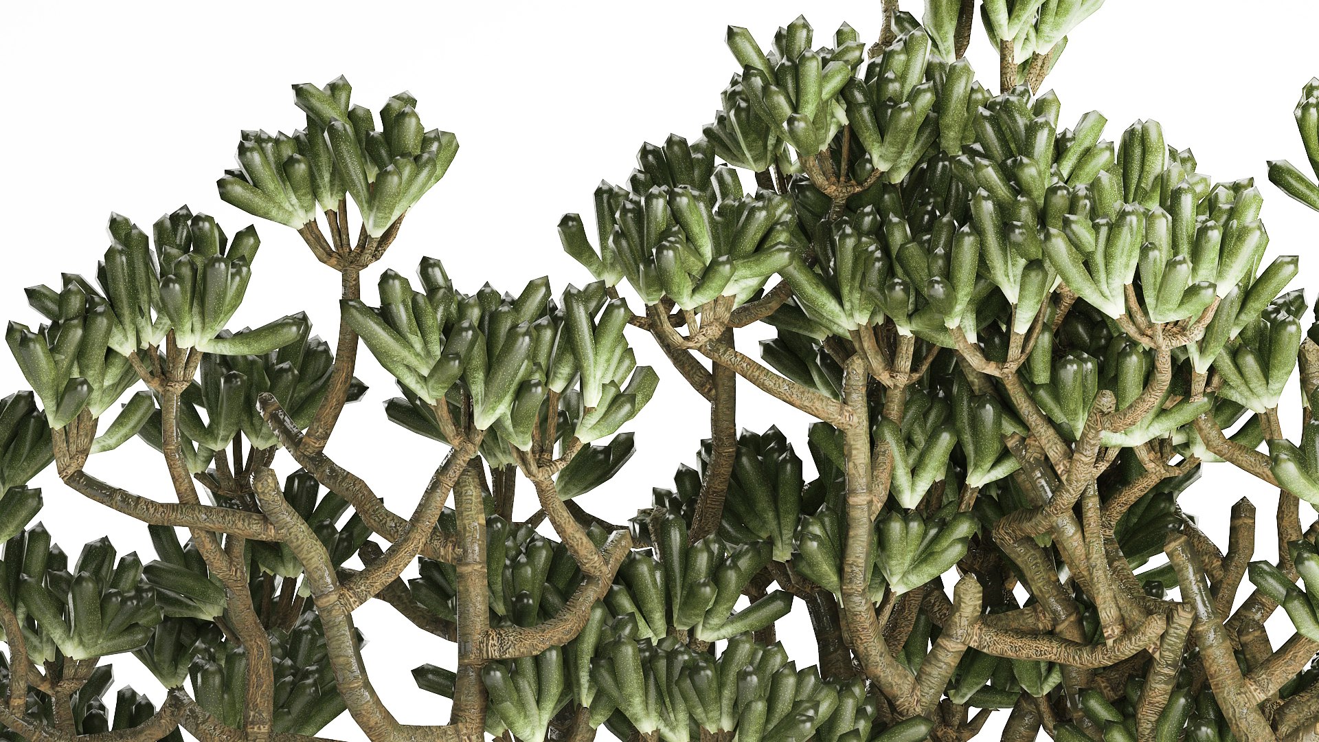 3D Bouquet Realistic Succulent Flowers Modern Vase 616 https://p.turbosquid.com/ts-thumb/oU/cJ1H4Y/mG/1bouquet120908/jpg/1758021542/1920x1080/fit_q87/b60b16dd0b245e88cbfabb62ad88e004c153076e/1bouquet120908.jpg