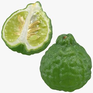 Kaffir Lime Set 3D model